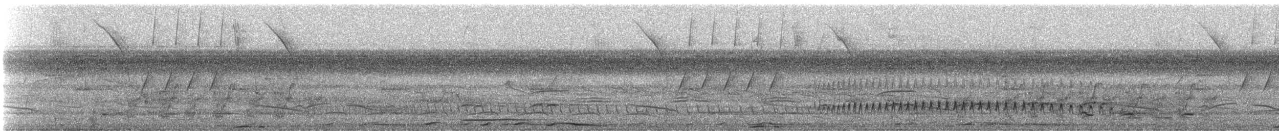 Plumbeous Pigeon - ML647300794