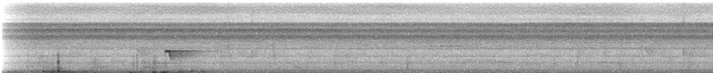 Rufous-capped Antthrush - ML647300825