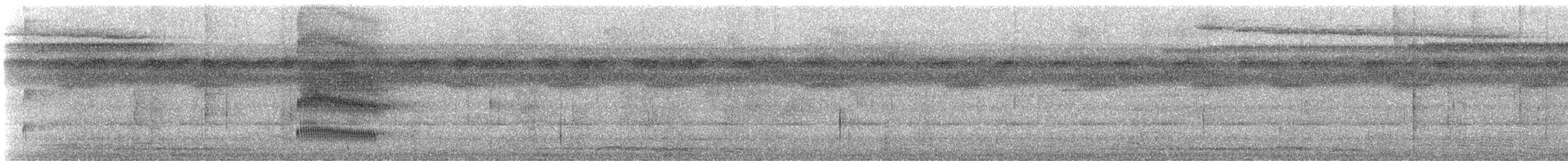 Double-banded Pygmy-Tyrant - ML647300937