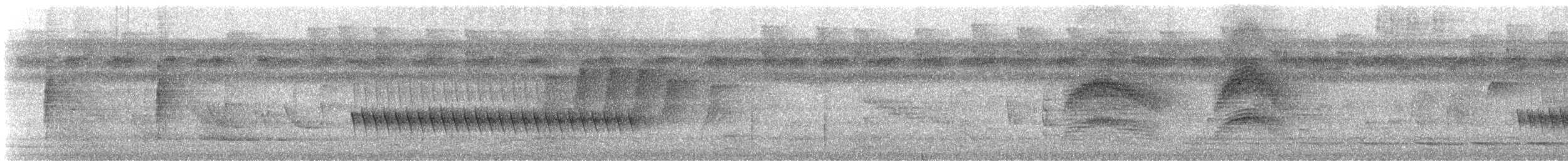 Long-billed Gnatwren - ML647301008