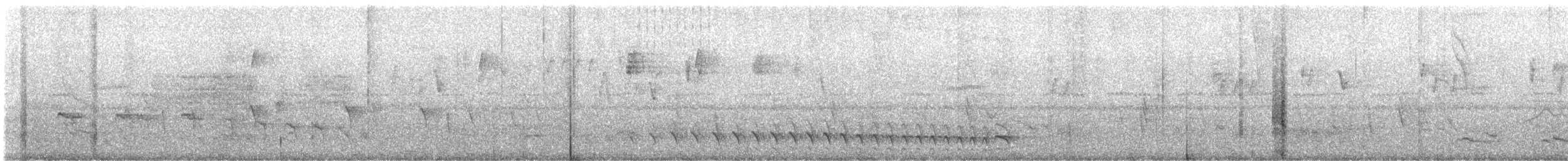 Barred Antshrike - ML647301489