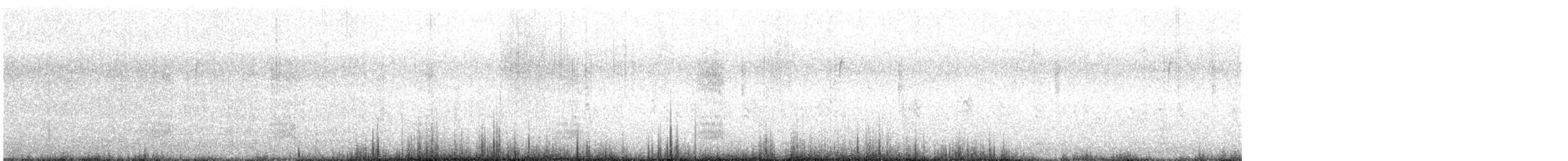 Canard noir - ML647302113