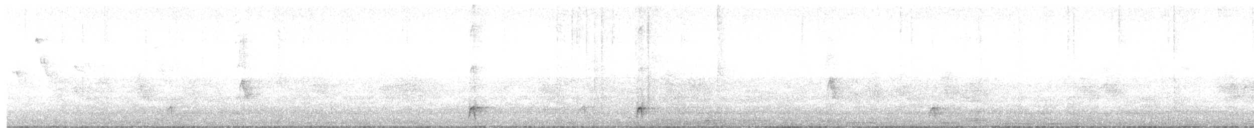 Merle à ventre clair - ML647302679