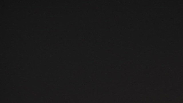 European Red-rumped Swallow - ML647302704