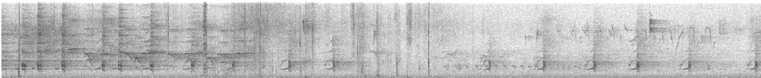 Ortalide à ventre roux - ML647302878