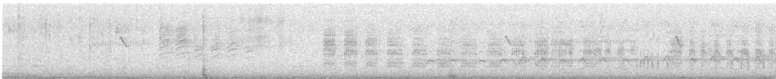 Conure cuivrée - ML647302900