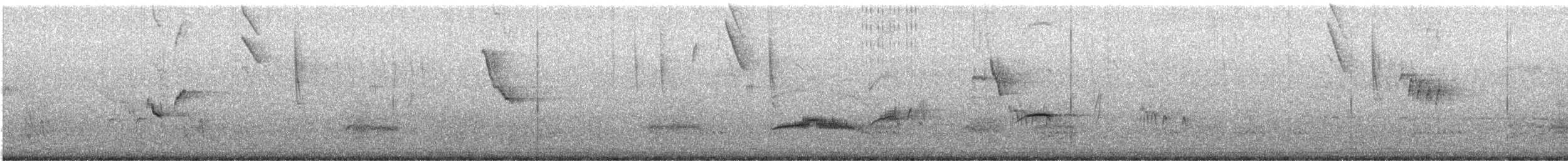 Élénie à ventre jaune - ML647302948