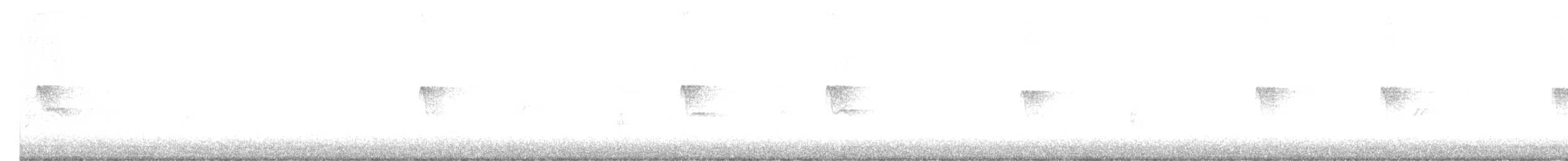 Moucherolle noir - ML647303278