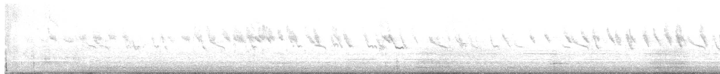 Zostérops de Swinhoe - ML647303296