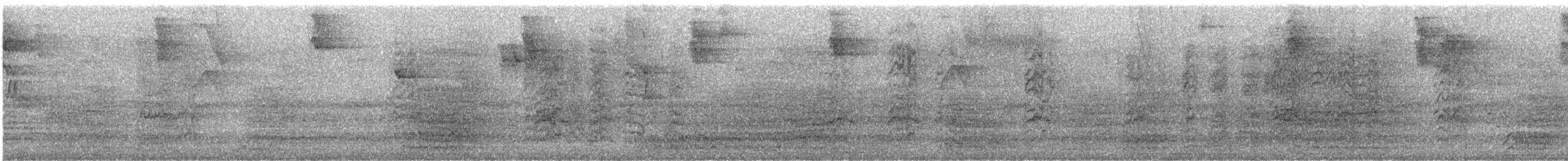 Conure de Wagler - ML647303405