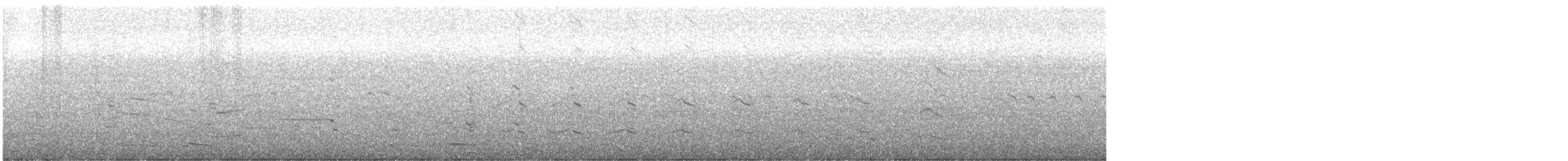 Мартин американський - ML647306006