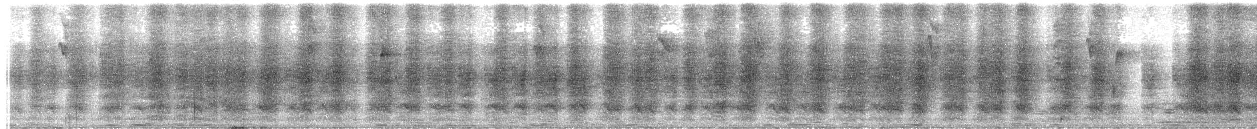 sojka zelenavá - ML647306489