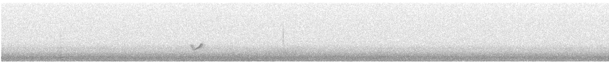 Chevalier arlequin - ML647306855