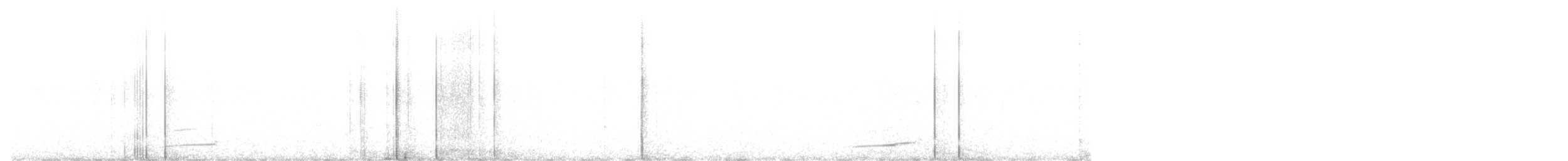 Chevêche d'Athéna - ML647306877