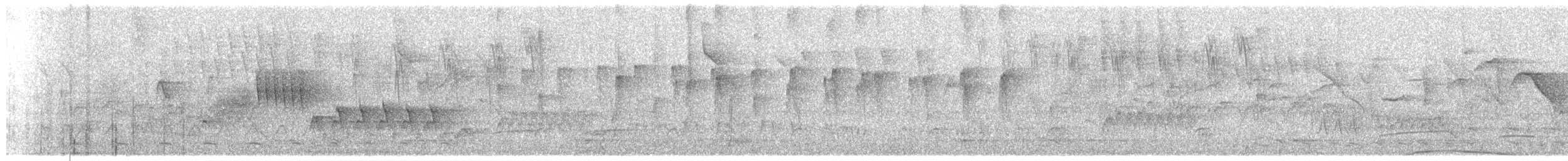 Southern House Wren - ML647308665