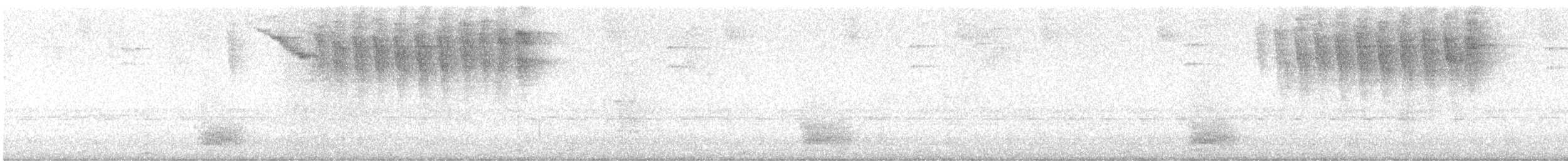 Slaty Antwren - ML647308771