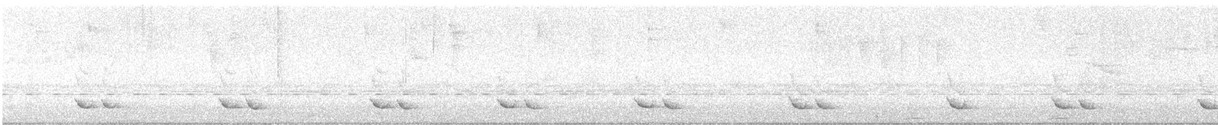 Slaty Antwren - ML647308772