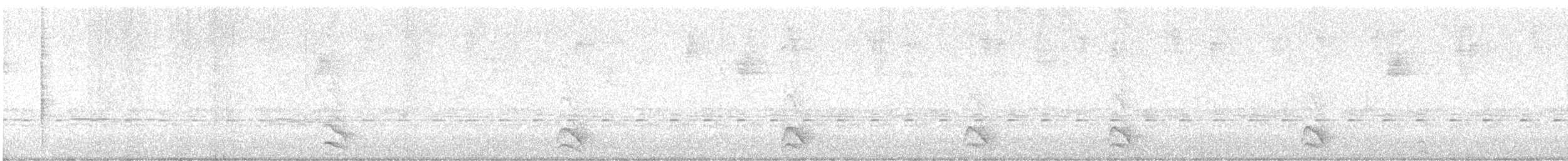 Slaty Antwren - ML647308773