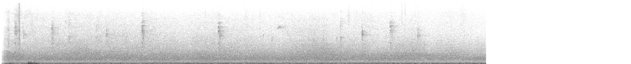 Wilson's Warbler - ML647309294