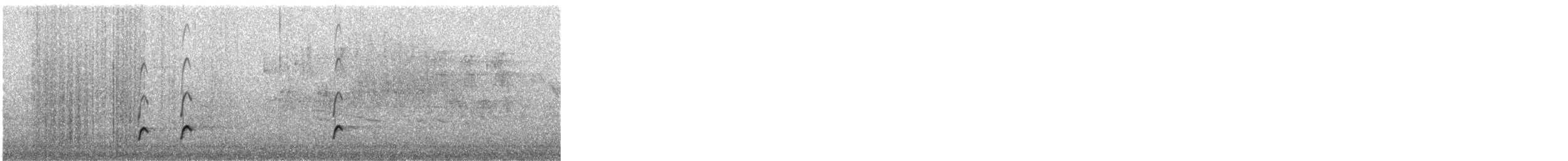 Greater Pewee - ML647309955