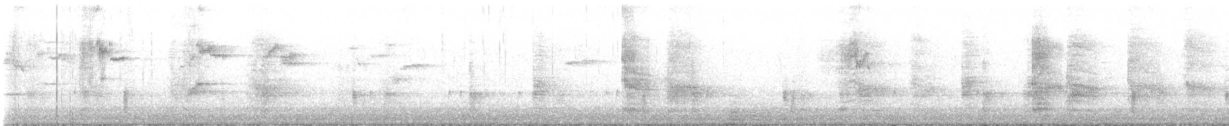 Common Grackle - ML647310366