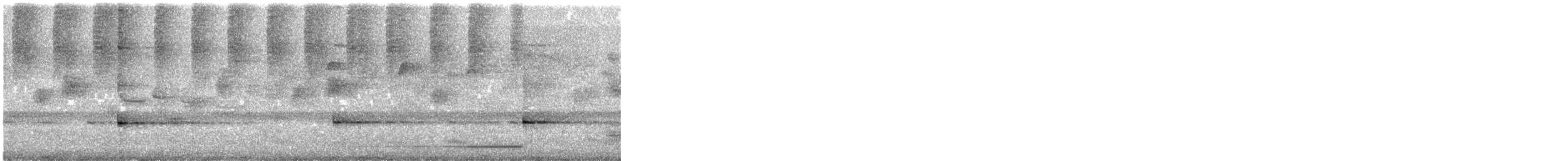 Glockenhonigfresser - ML647311656