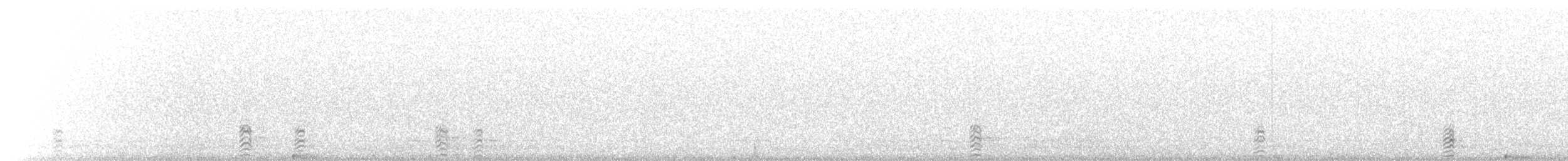 hoholka lední - ML647311799