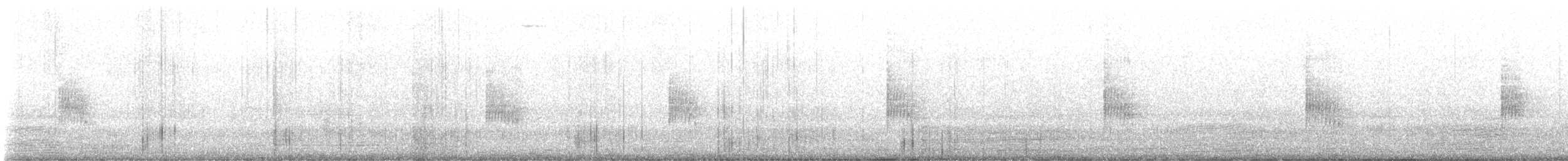 Chochín Criollo Norteño - ML647312007