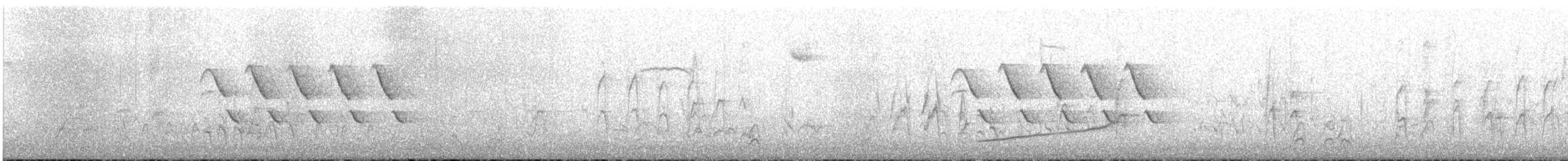 Bewick's Wren - ML647314066