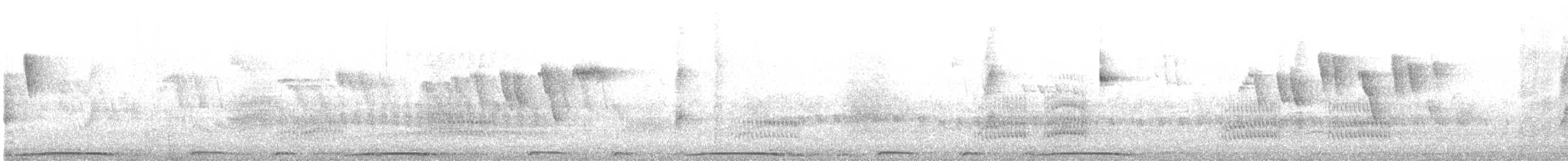 Picazuro Pigeon - ML647317648