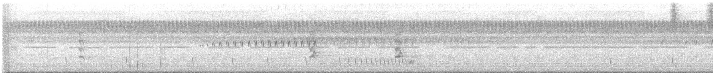 Chotacabras Hindú - ML647317969