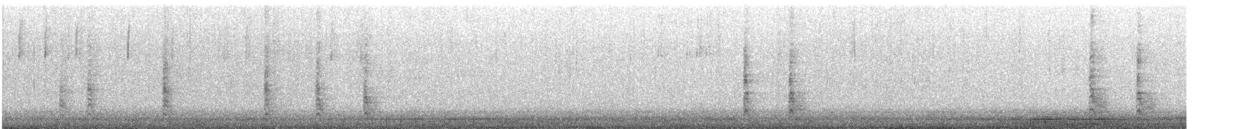 Red-bellied Woodpecker - ML647319523