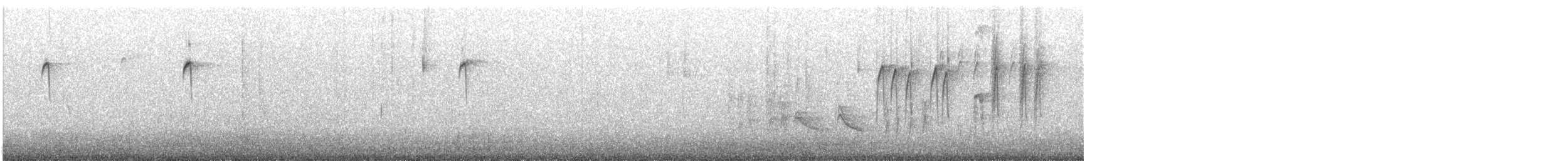 Amerika Baştankarası - ML647319562