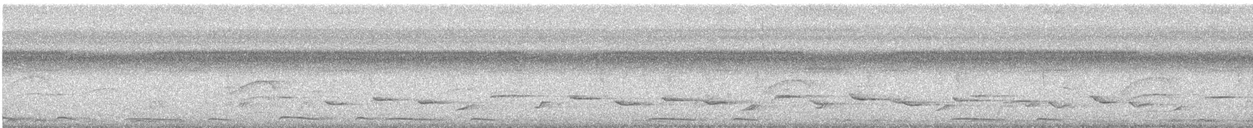 Ak Kanatlı Kumru - ML647319783