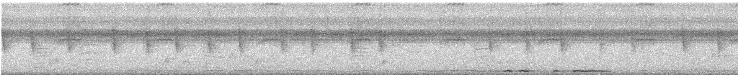 Ak Kanatlı Kumru - ML647320340