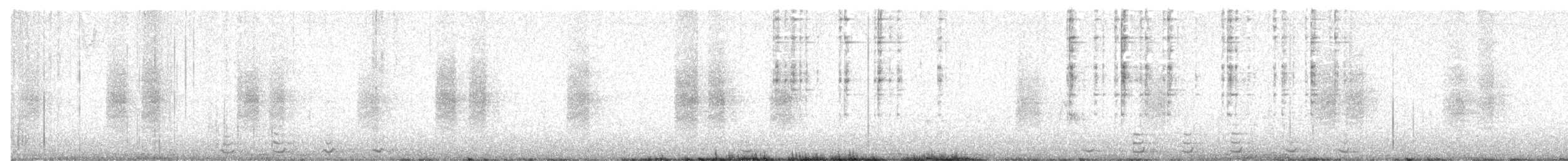 Cucarachero de Carolina - ML647321937