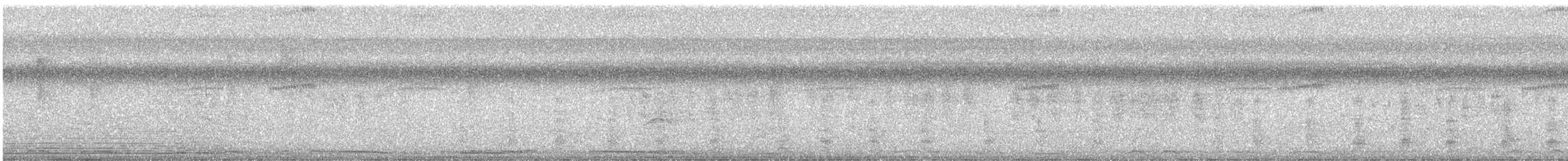 Roadside Hawk - ML647322116