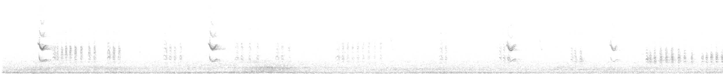 Austral Blackbird - ML647323053