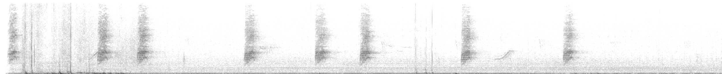 Chara Floridana - ML647324257