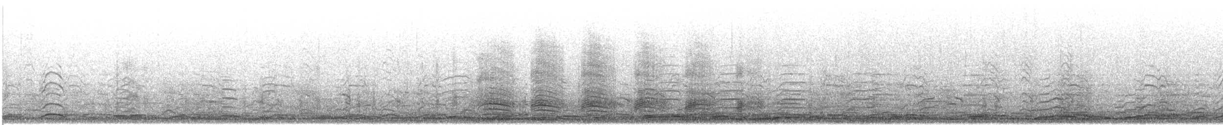 Tundra/Whooper Swan - ML647324563