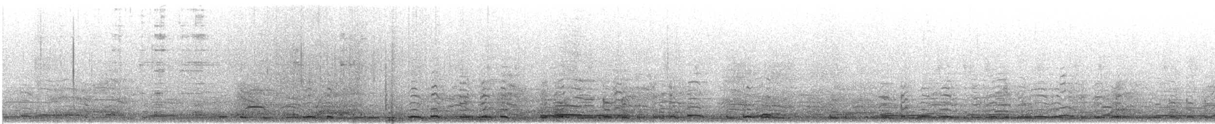 Tundra/Whooper Swan - ML647324975