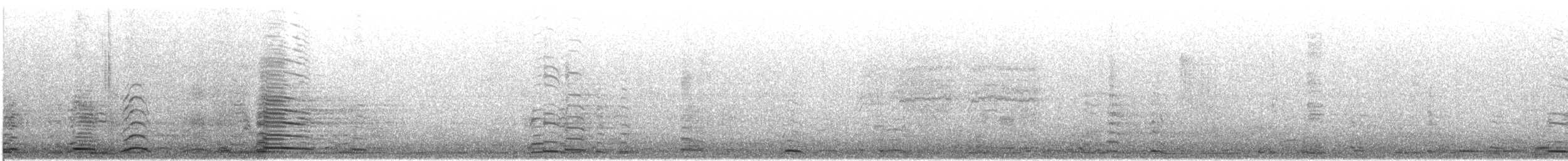 dvergsvane/sangsvane - ML647325245