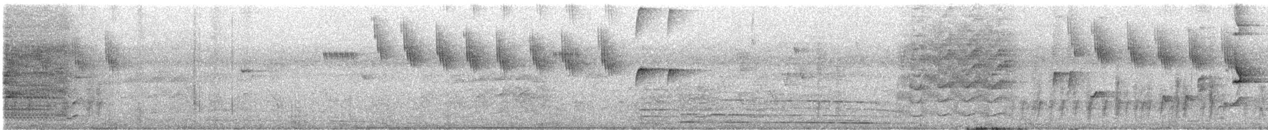 båtnebbtyrann - ML647325383