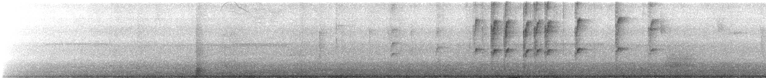 fiolettsabelvinge - ML647326155