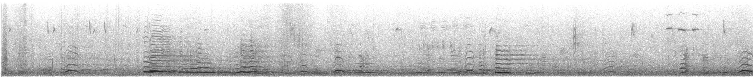 dvergsvane/sangsvane - ML647326171