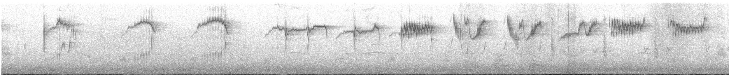 歐洲椋鳥 - ML647328036