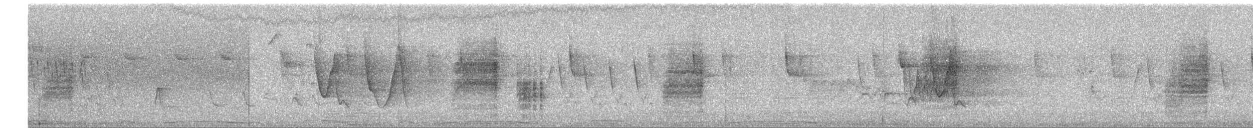 Southern House Wren - ML647330012