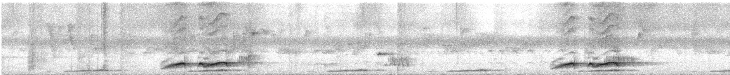 Noisy Pitta - ML647330545