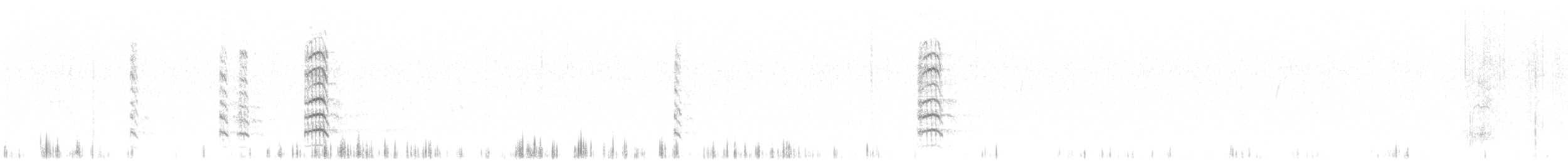 Andean Gull - ML647330644