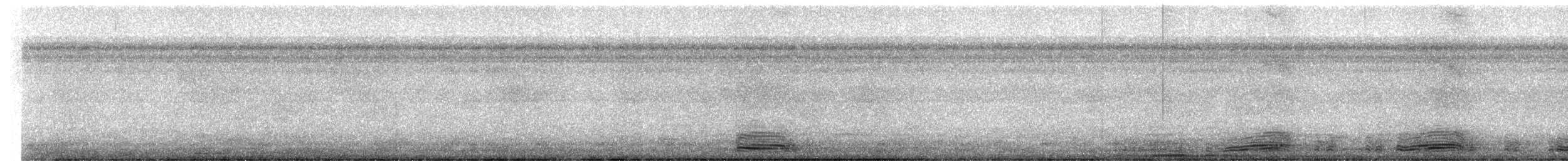 Broad-billed Motmot - ML647330792